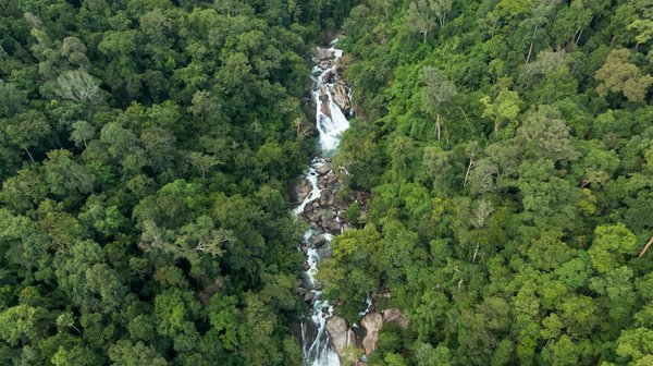 Formation jri : découvrez une carrière captivante et enrichissante